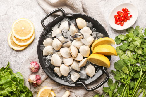 水產腌生鮮白貝海鮮美食攝影圖 st攝影