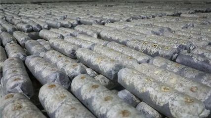 山陽、商南6個(gè)重點(diǎn)項(xiàng)目接受全市&ldquo;檢閱&rdquo;