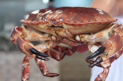 低至6.8折！徹底被啟東這家蒸汽海鮮店'蒸'服！